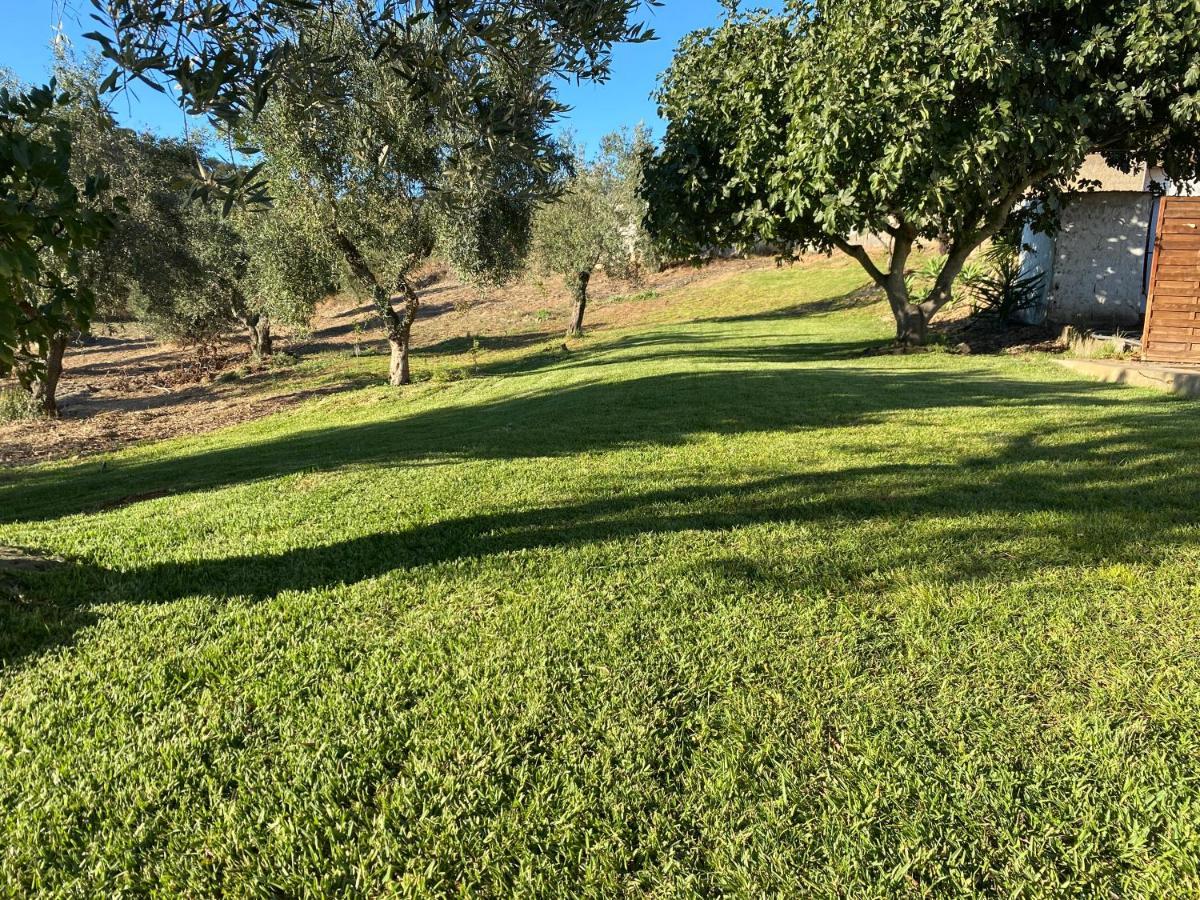 Monte Da Alameda - Piscina Aquecida Villa Santa Luzia  Dış mekan fotoğraf